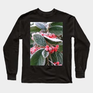 Frost Berries: close-up photo of red berries and green leaves with white frost Long Sleeve T-Shirt